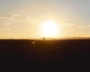 Ambroise Tézenas - 4